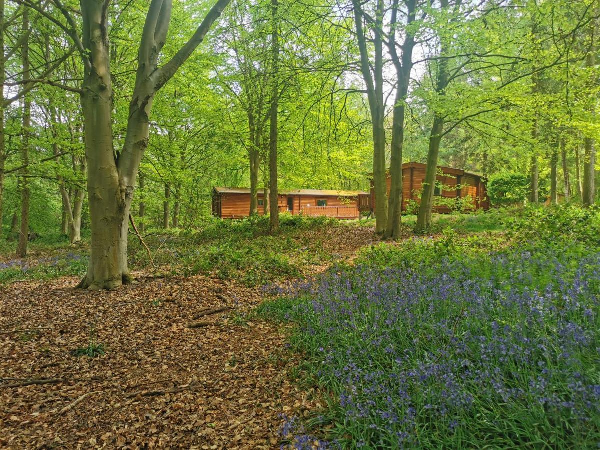 Fern Lodge Louth  Exterior photo